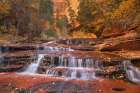 Archangel Falls on Left Fork of North Creek-Zion National Park Art Print